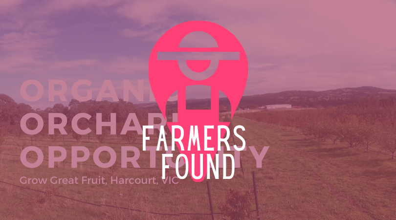 Established Organic Stone Fruit Orchard - Lease : Harcourt VIC [ Position Filled ]
