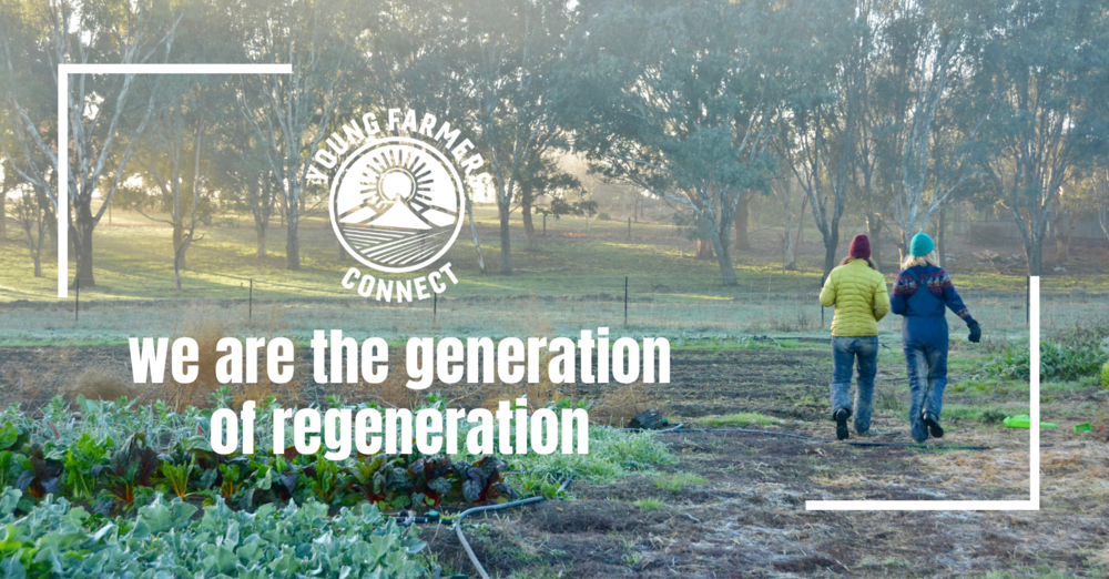 Together We Grow : YFC quartely news, views and activities 2022