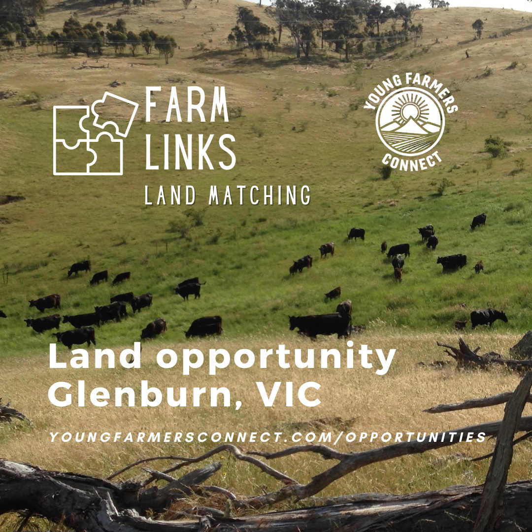 Land opportunity in Glenburn, Vic