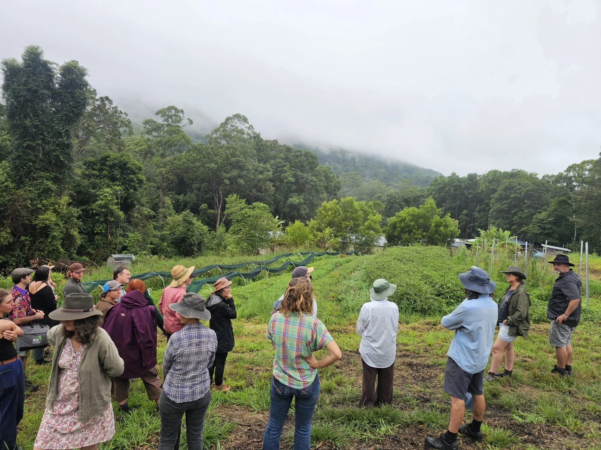 Northern Rivers Field day at Goatie Hill Farm with Joel Williams