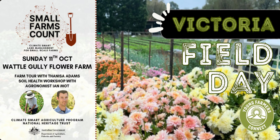 Victoria Field Day: Wattle Gully Flower Farm