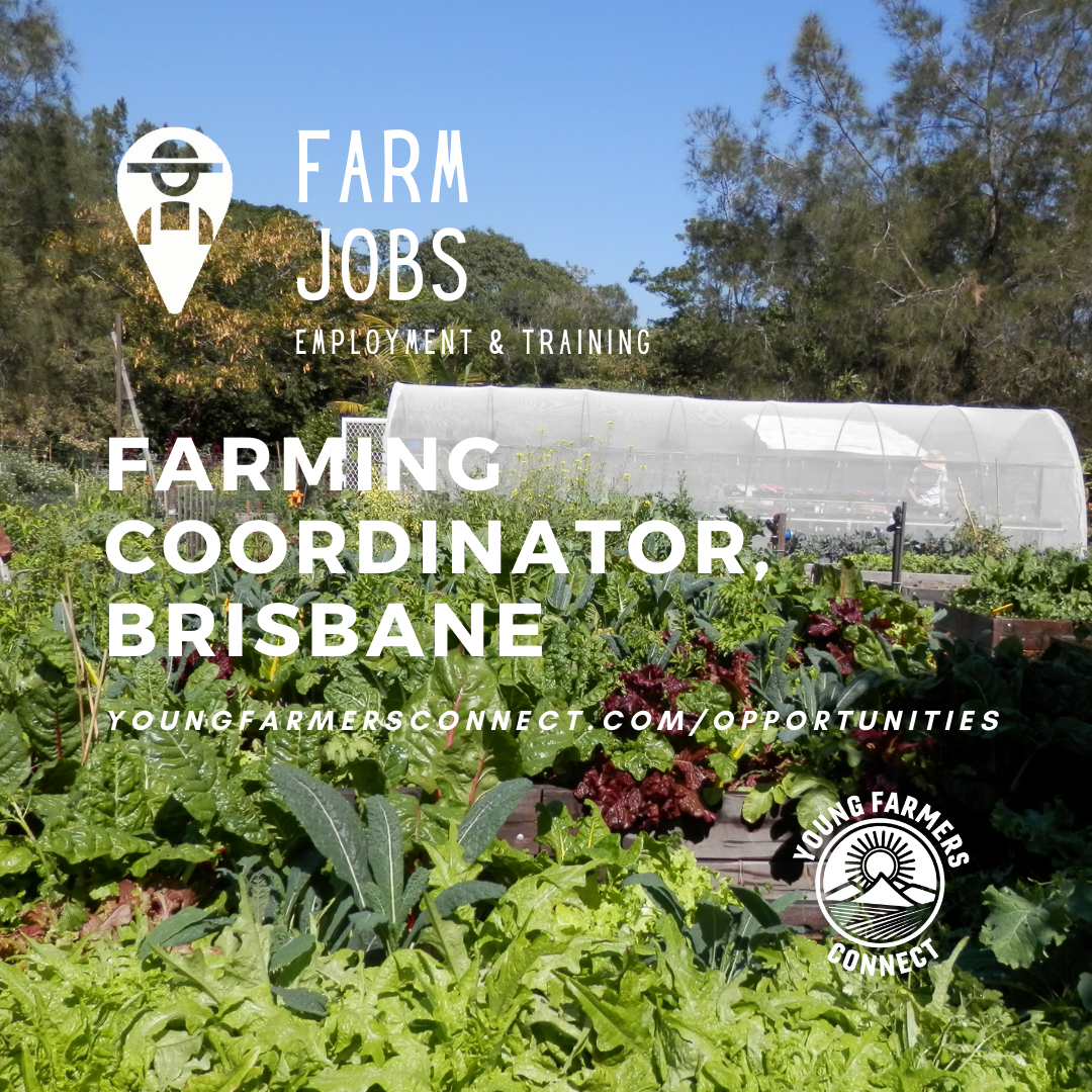 Farming Coordinator, Northey St City Farm, Brisbane/Meanjin