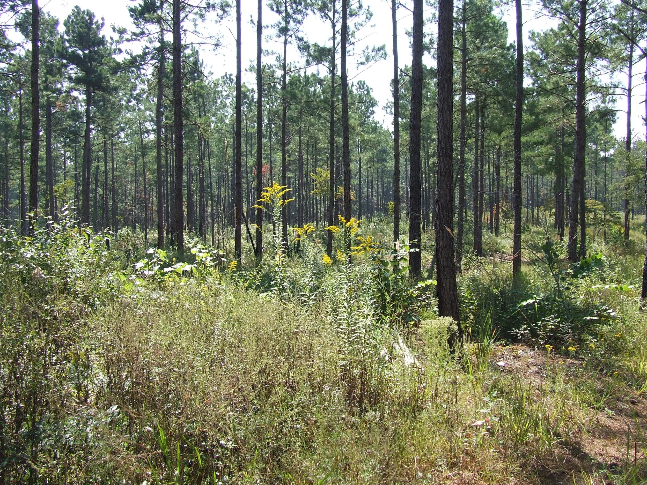 2006_09280076.JPG
