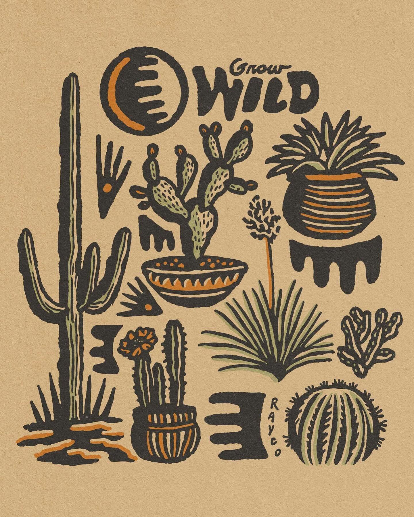 Call me the cactus queen 🌵👸🏼🌵
&bull;
&bull;
&bull;
#cactusqueen #ilovecactus🌵 #cactusillustration #cactusart #cactusdesign #wildcactus #growwild #illustration #desertdesign #natureillustration