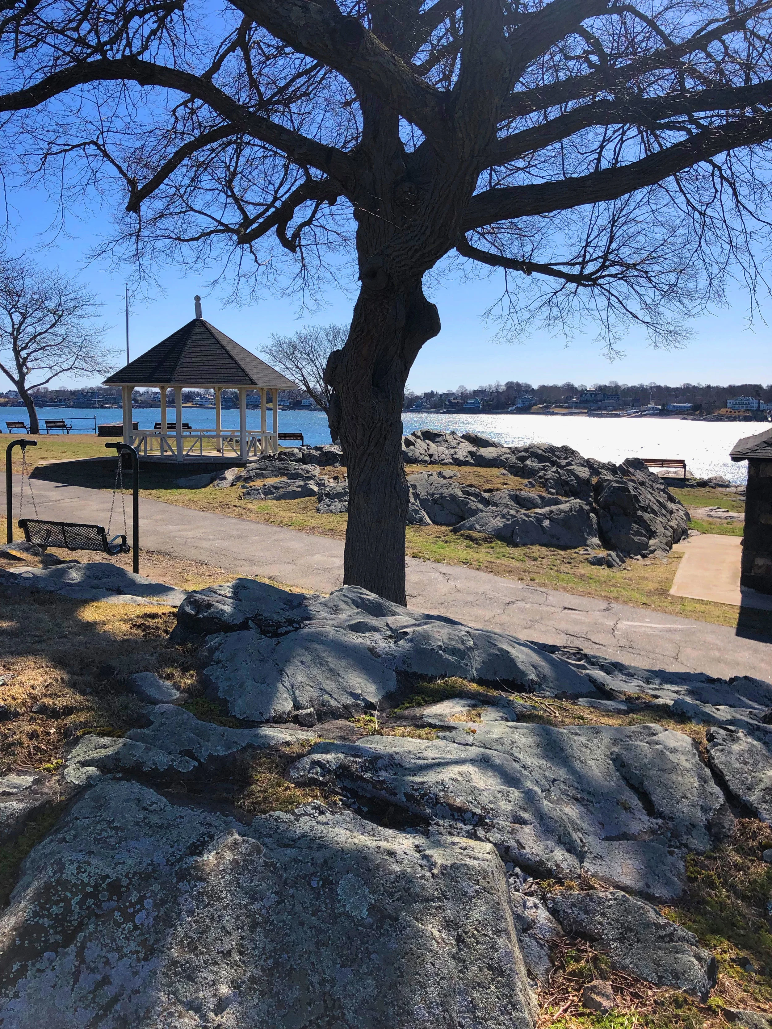crockerpark.jpg