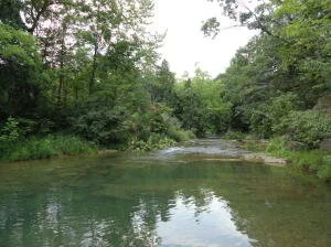 1903 Kanawha Tr Covington, VA 24426