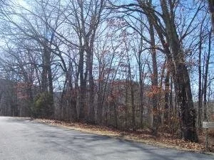 000 Granville Ave Clifton Forge, VA 24422