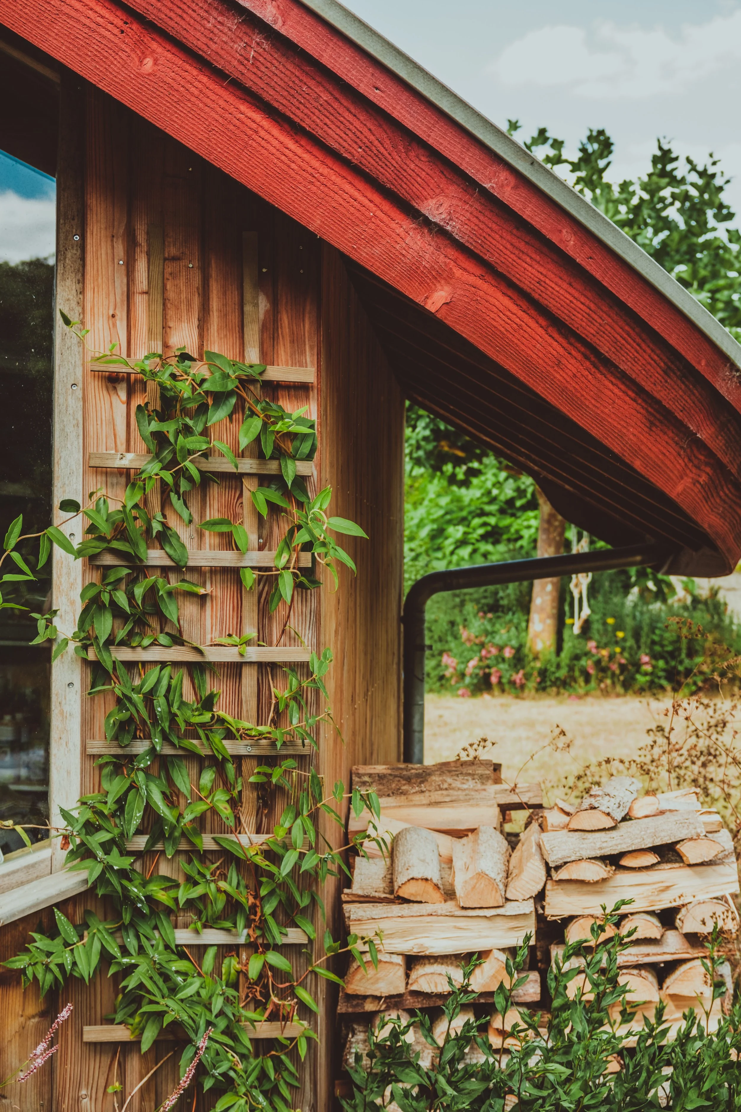 Should You Power Wash or Replace the Damage?