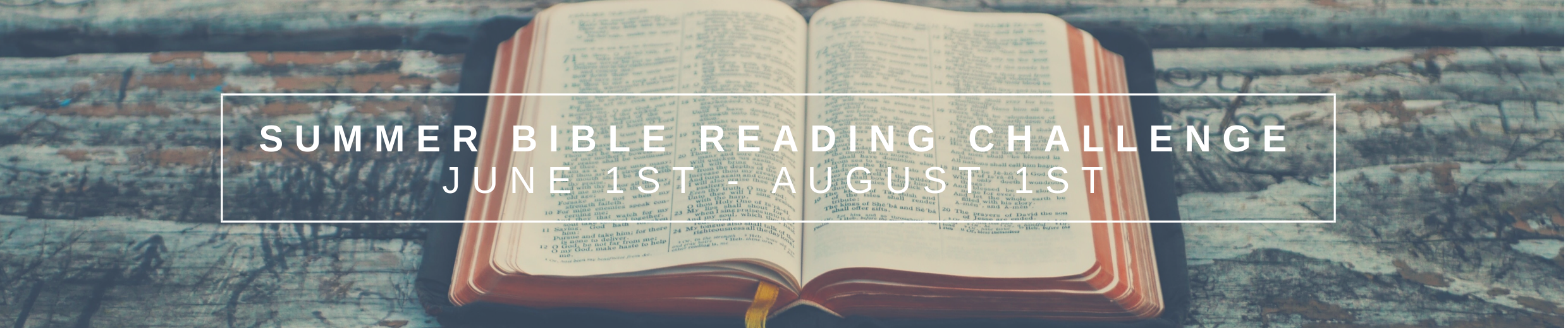 SUMMER BIBLE READING CHALLENGE.png