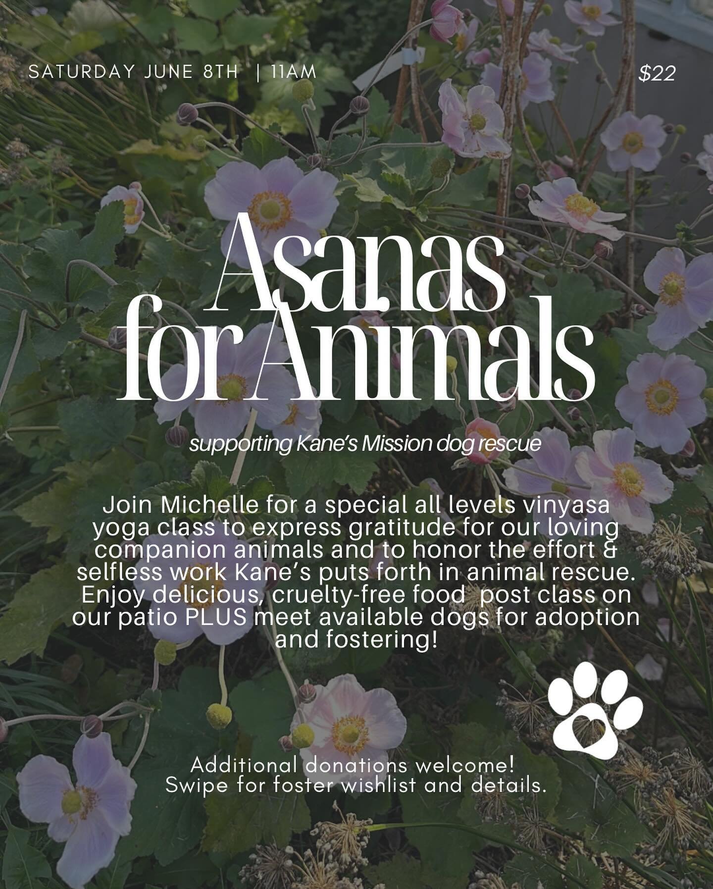 Asanas for Animals benefitting @kanesmission 🐾 Dogs are the closest thing we can think of to angels on earth, please join us on Saturday, June 8th at 11am for a special, all levels yoga class to support them. Enjoy delicious food, yoga and maybe eve