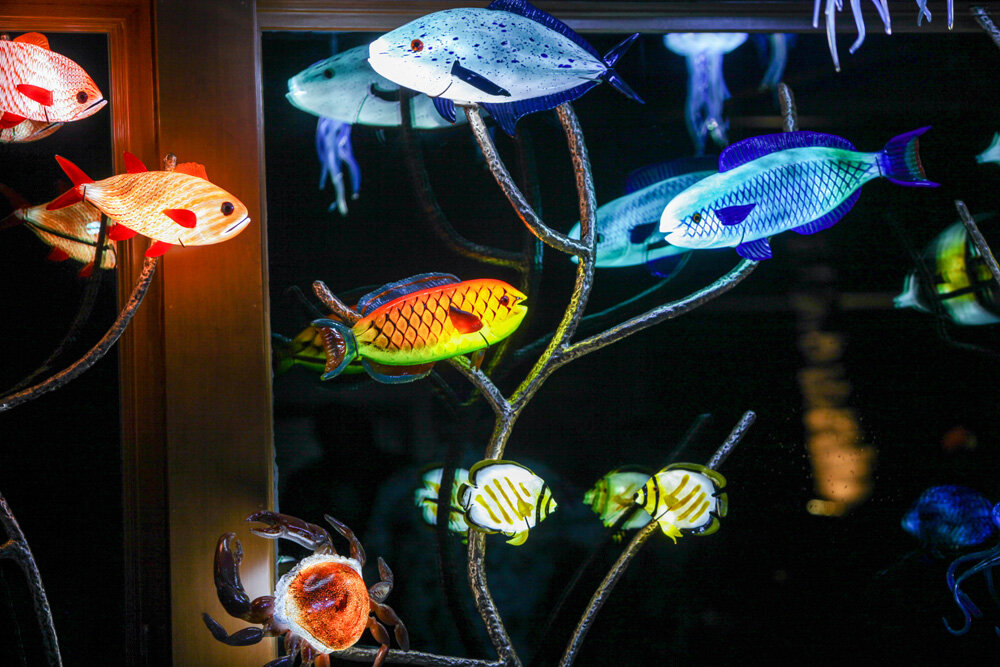 Makai Aquarium_080.jpg