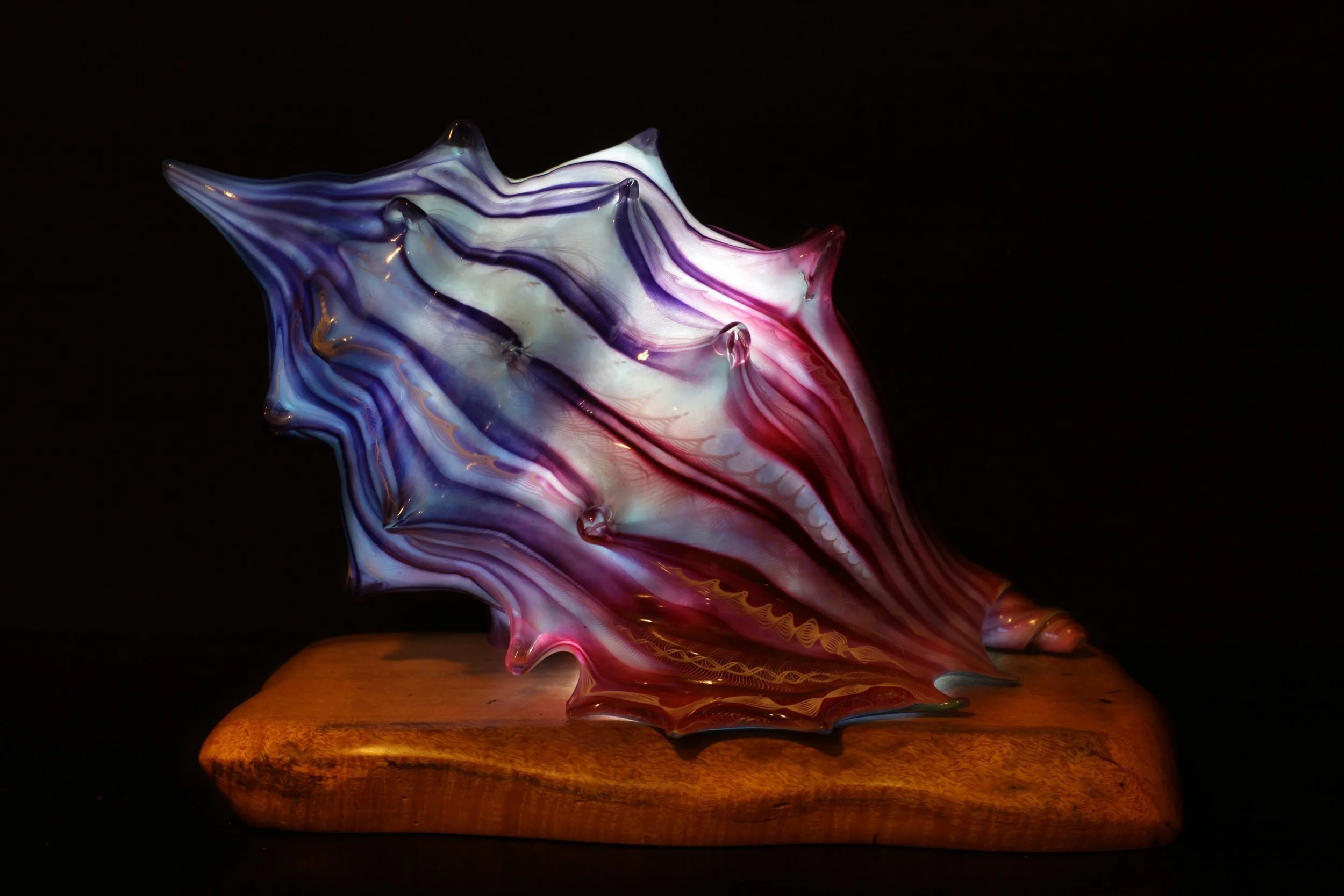 Shell+05.jpg
