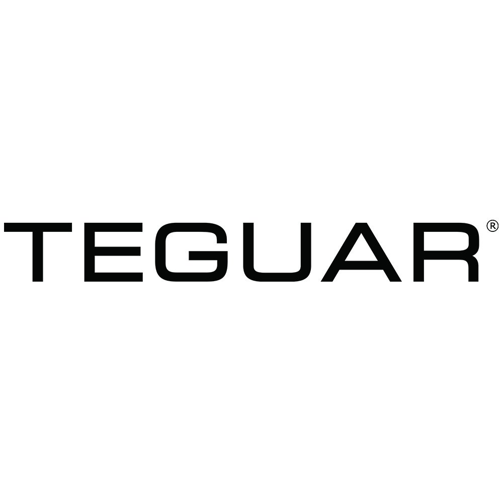 teguar CTA Thumbnail Logo.jpg