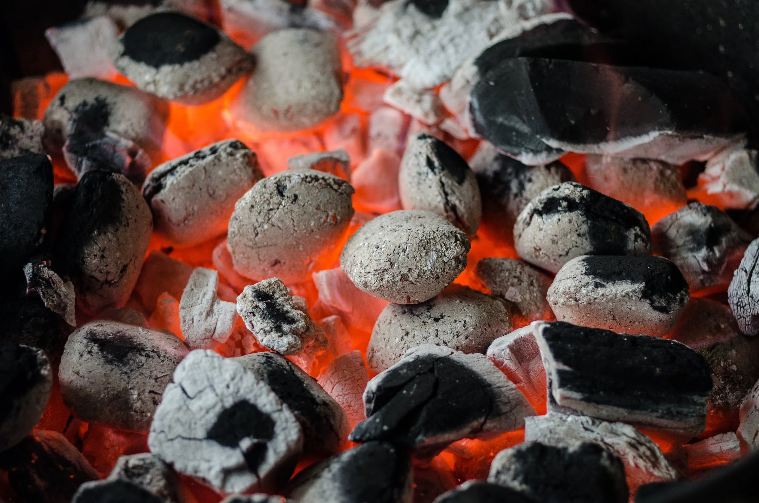 barbecue-bbq-briquettes-9263.jpg
