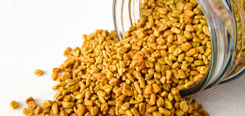 fenugreek.jpg