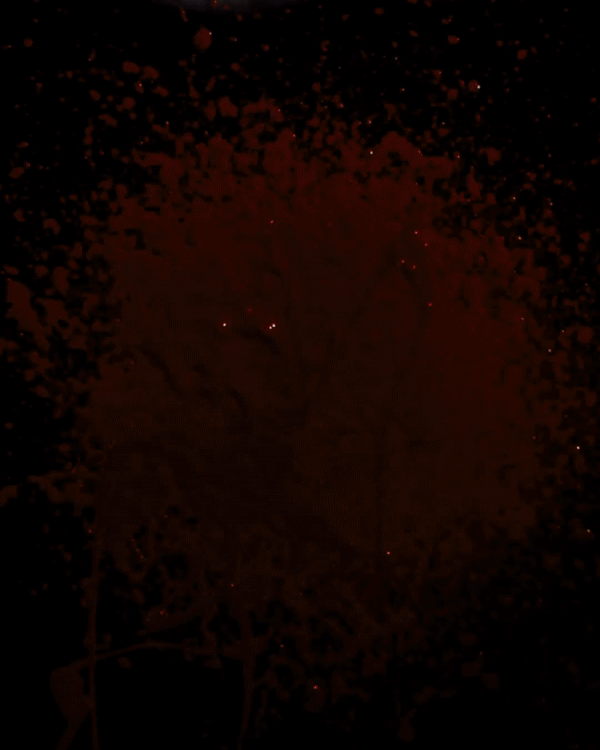 justinlevi-gif.gif