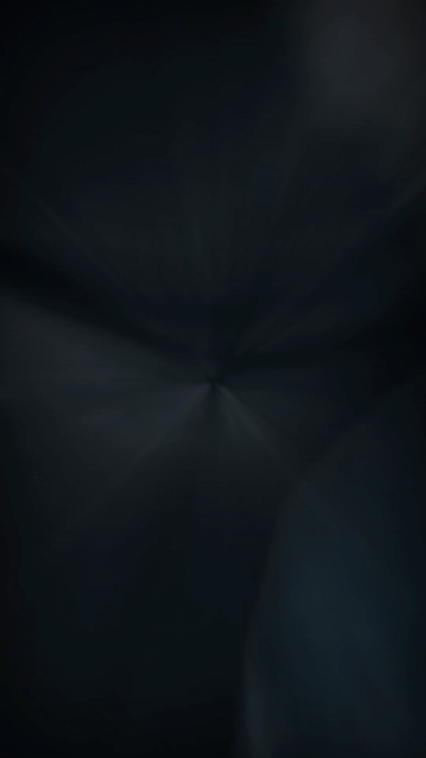 jlevi-gif.gif
