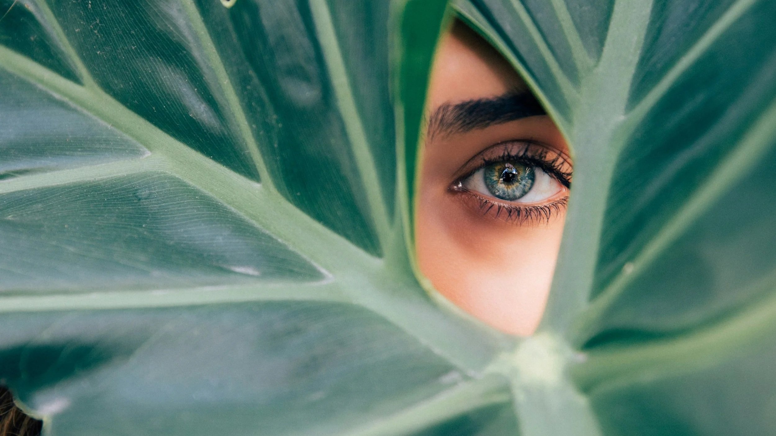 image of a woman peeking through a leaf demonstrating a fawn trauma response in relationships