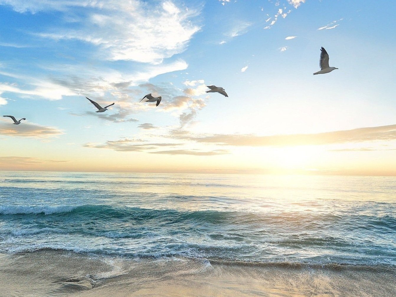 12 week program cover image.jpg