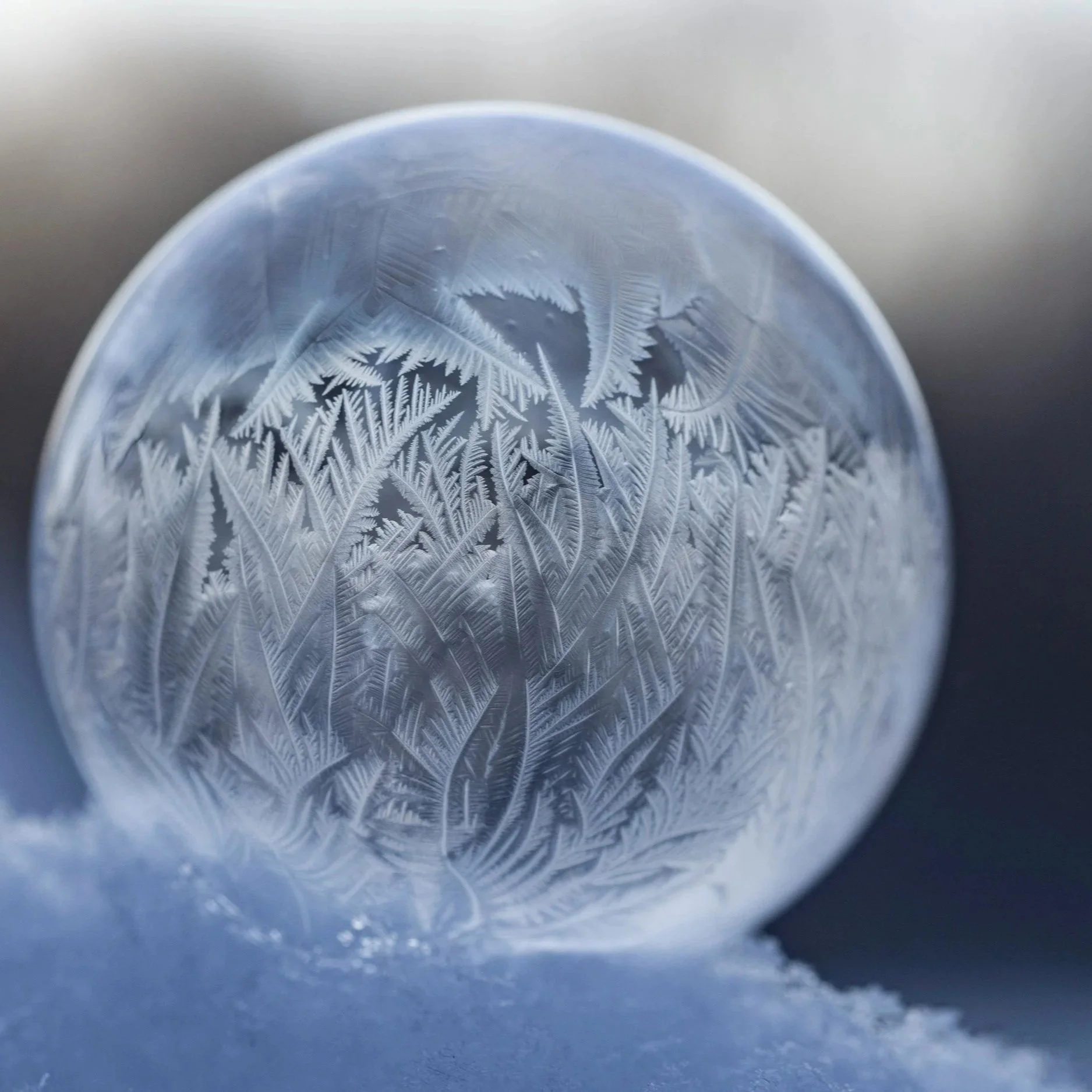 I've Been Stuck In A Freeze Response For Years... What Do I do?