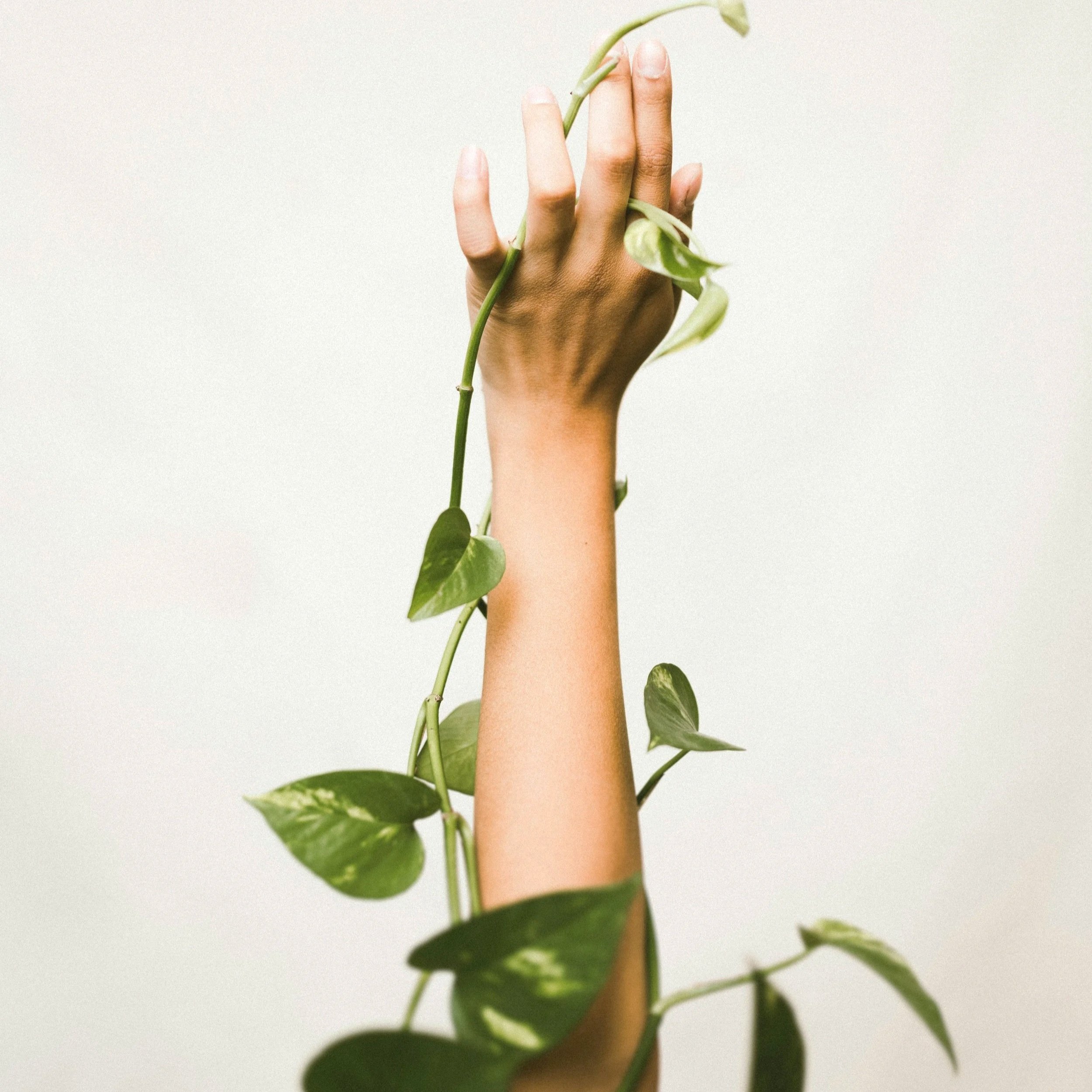 How To Know You’re Living In Survival Mode