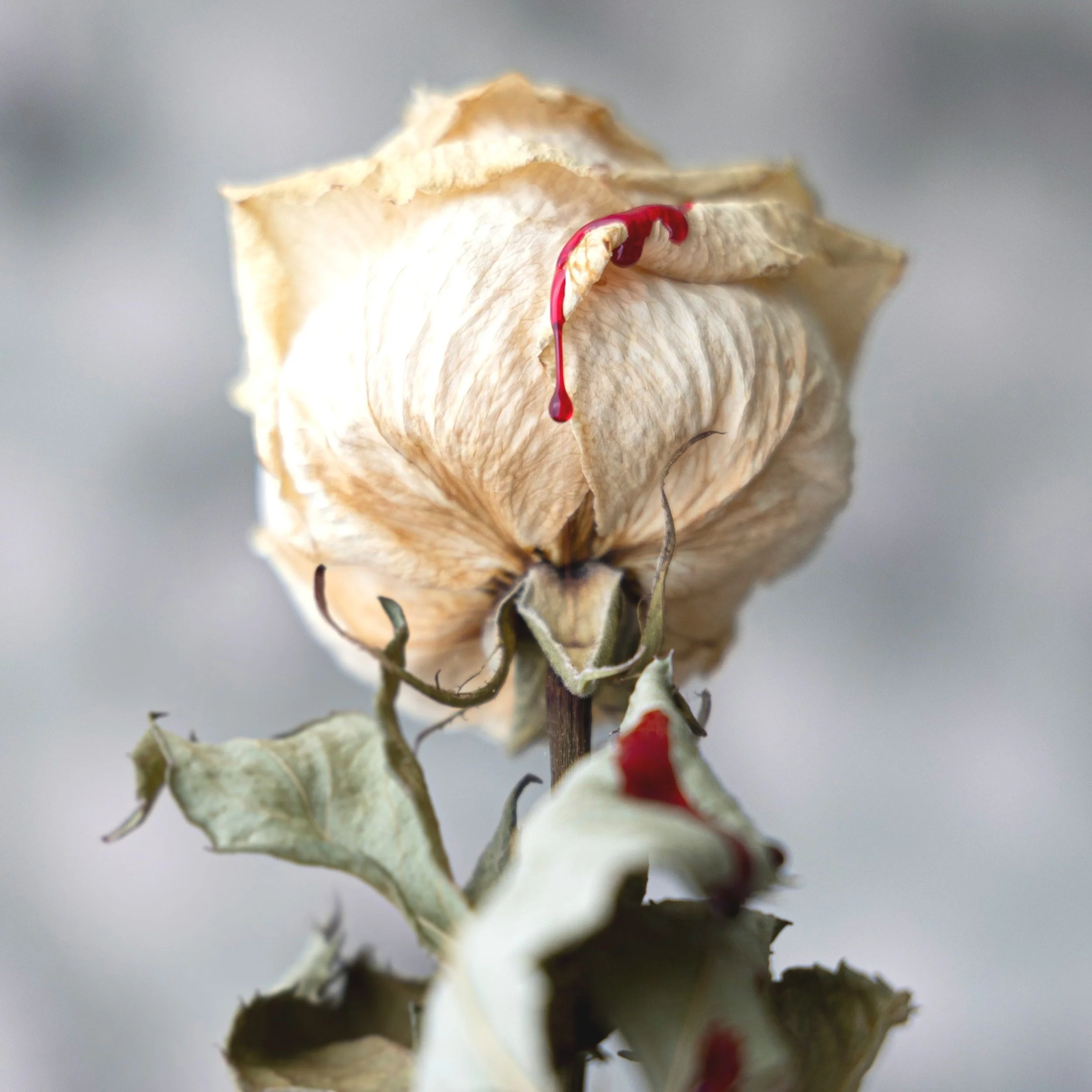 Childhood Sexual Trauma in Adults &amp; How it Changes Relationships