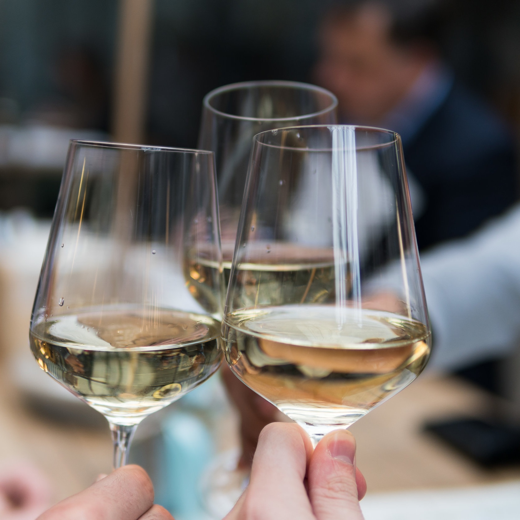 Wines chosen for the season
