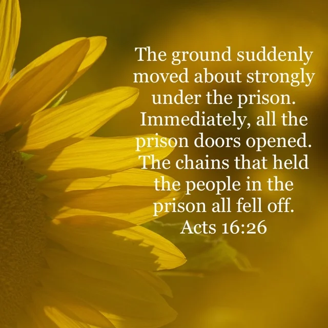 From 0 - 100, Just Like That!