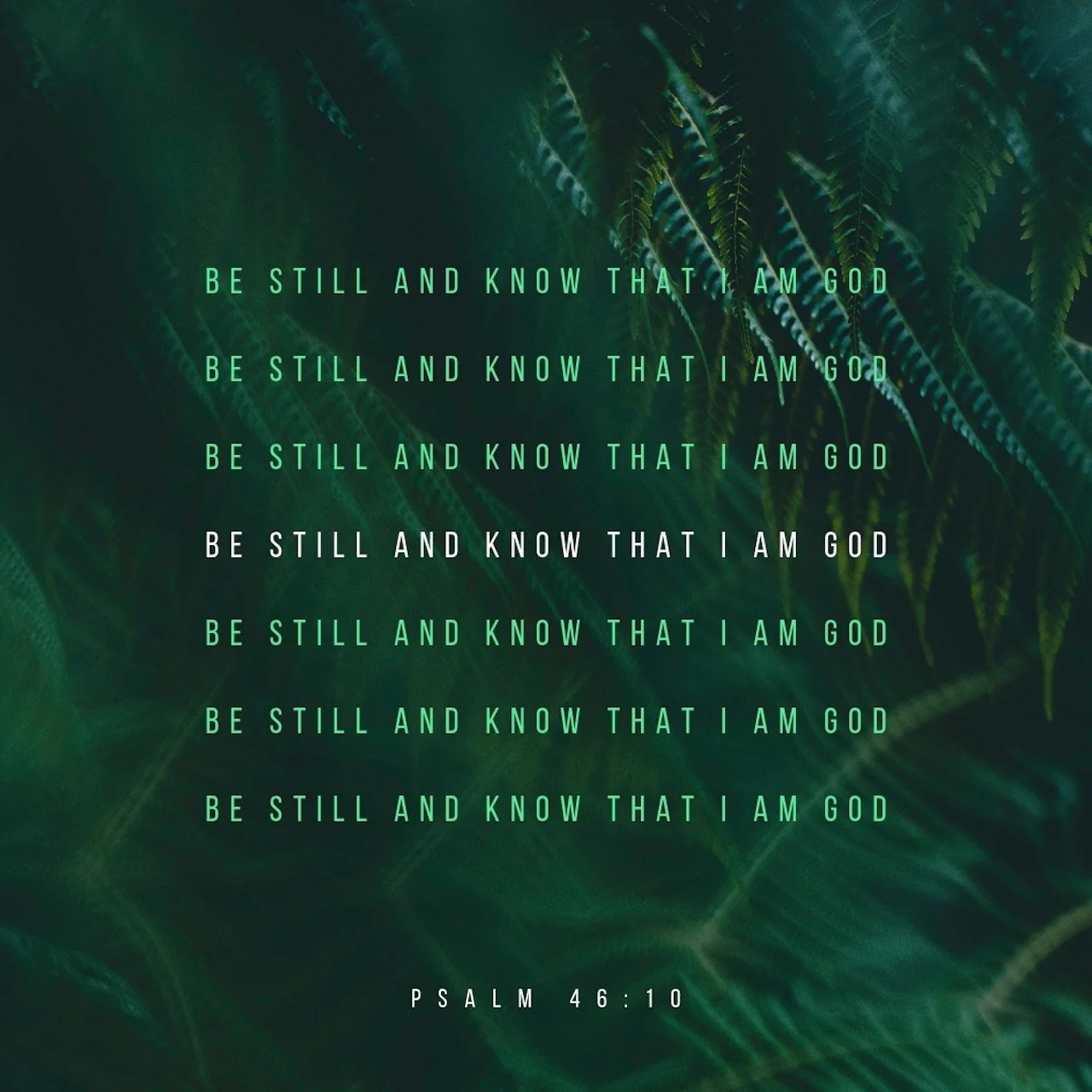 Don’t Put Me In A Box