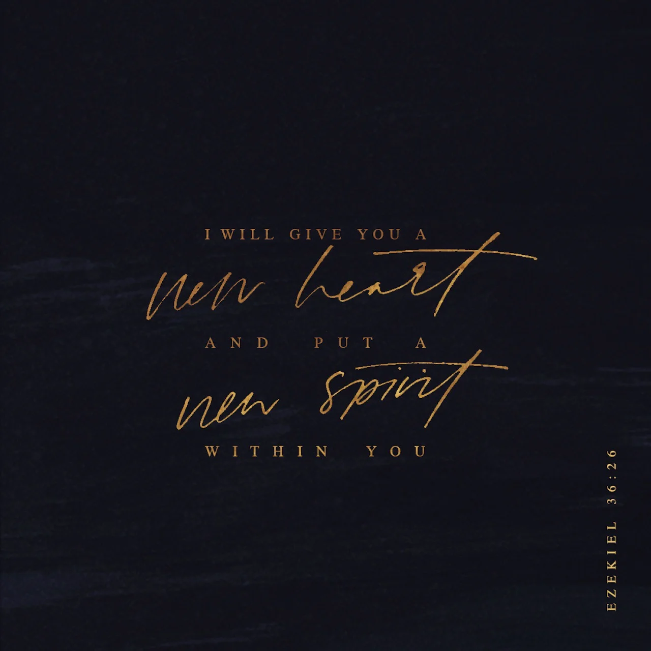 New International Version Bible