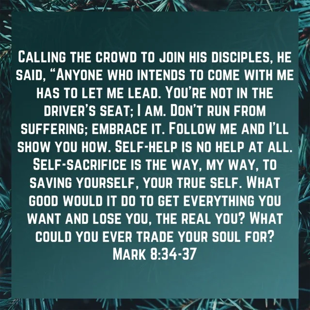 I Will Show You How!