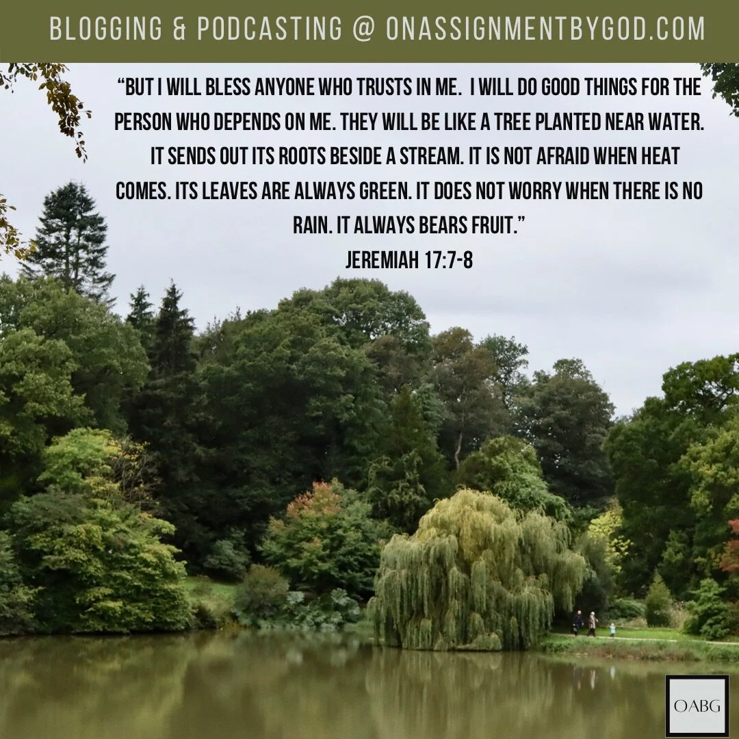 Go Back to What I Said!