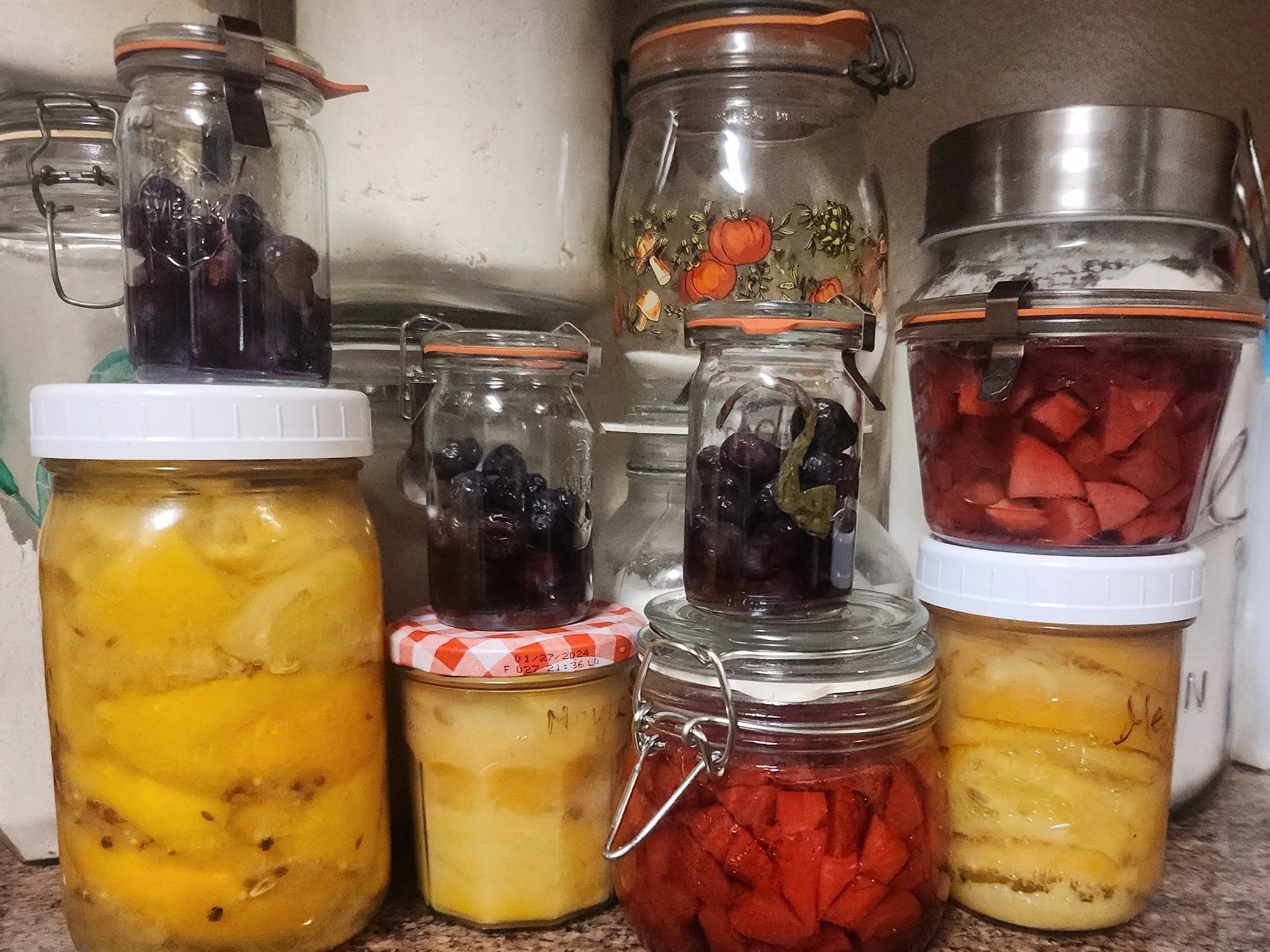 Jars of fermented fruit