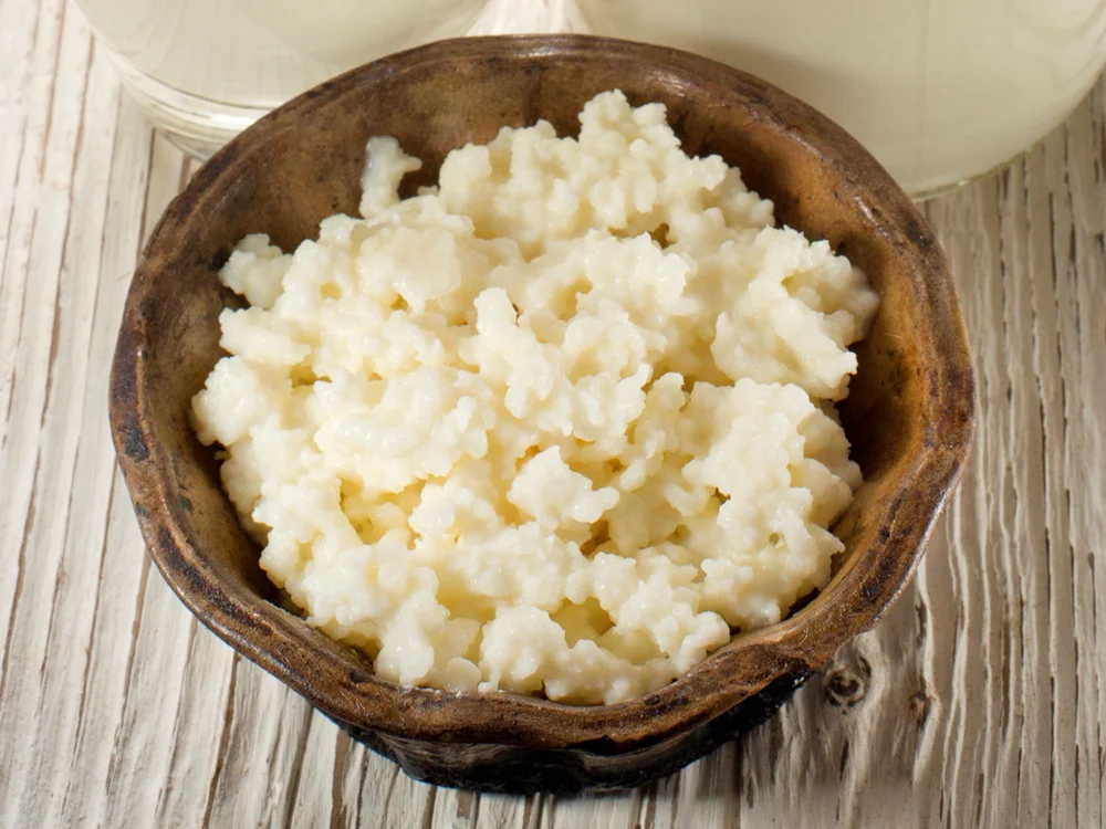 MILK KEFIR GRAIN ACTIVATION — Positively Probiotic