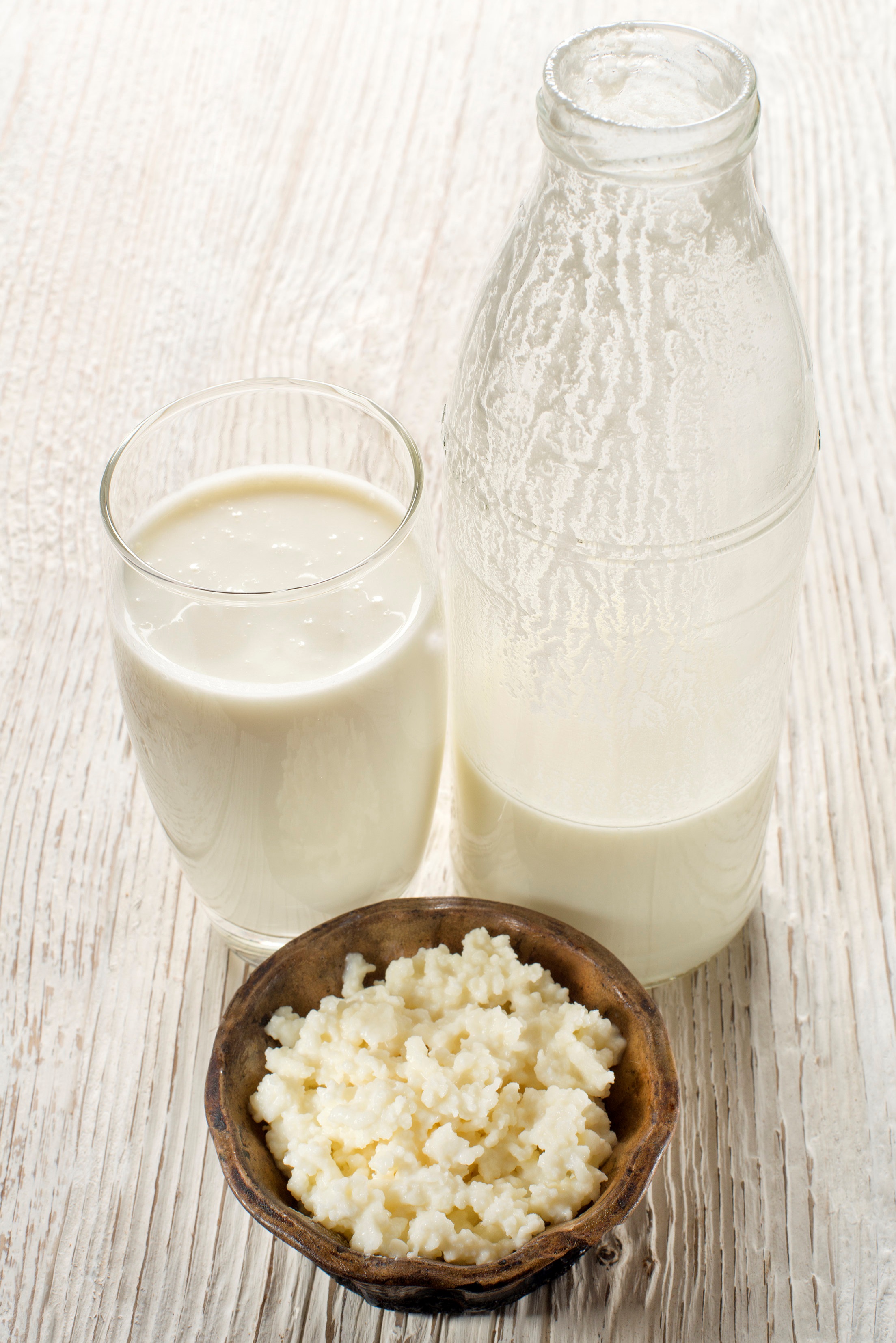 Fresh Milk Kefir Grains — Positively Probiotic