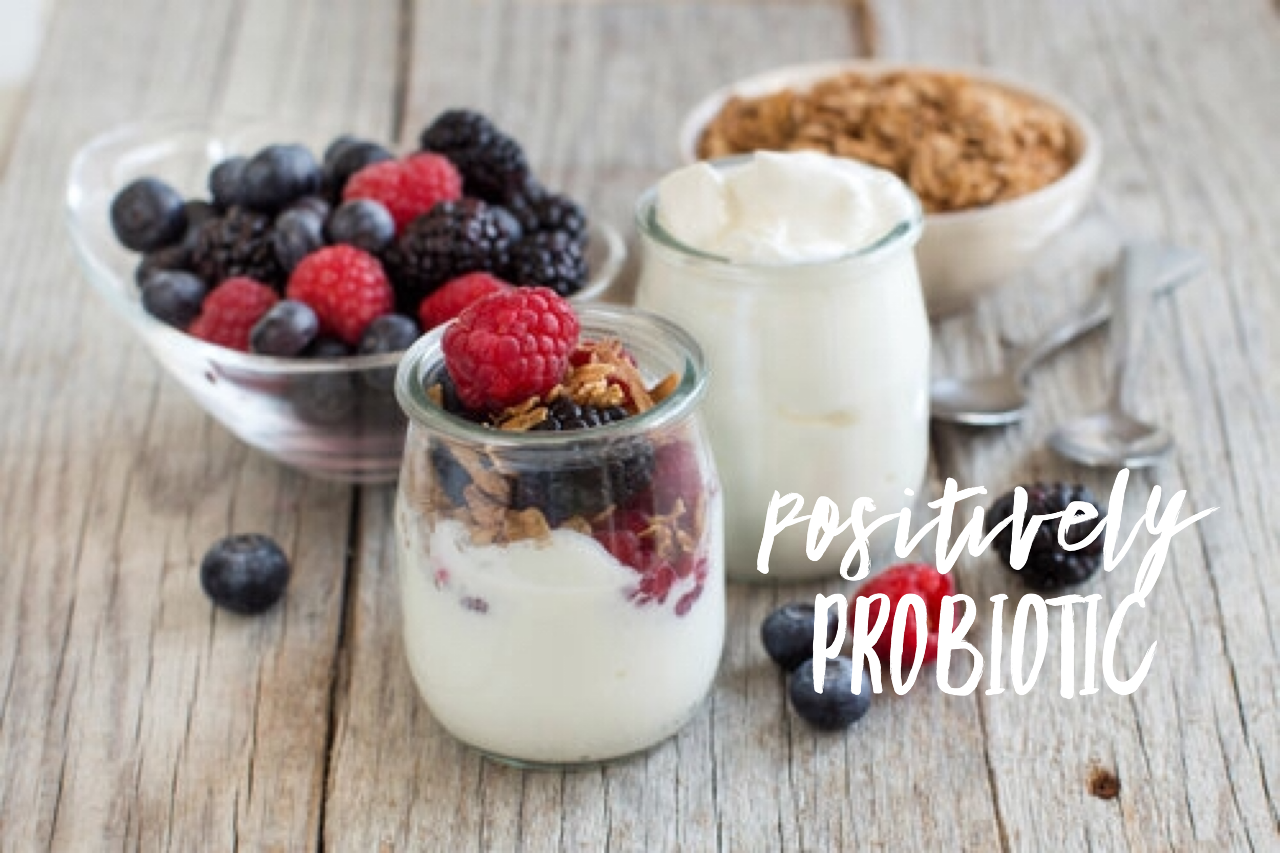 Japanese Caspian Sea Yogurt Mesophilic Yogurt Starter Culture Positively Probiotic