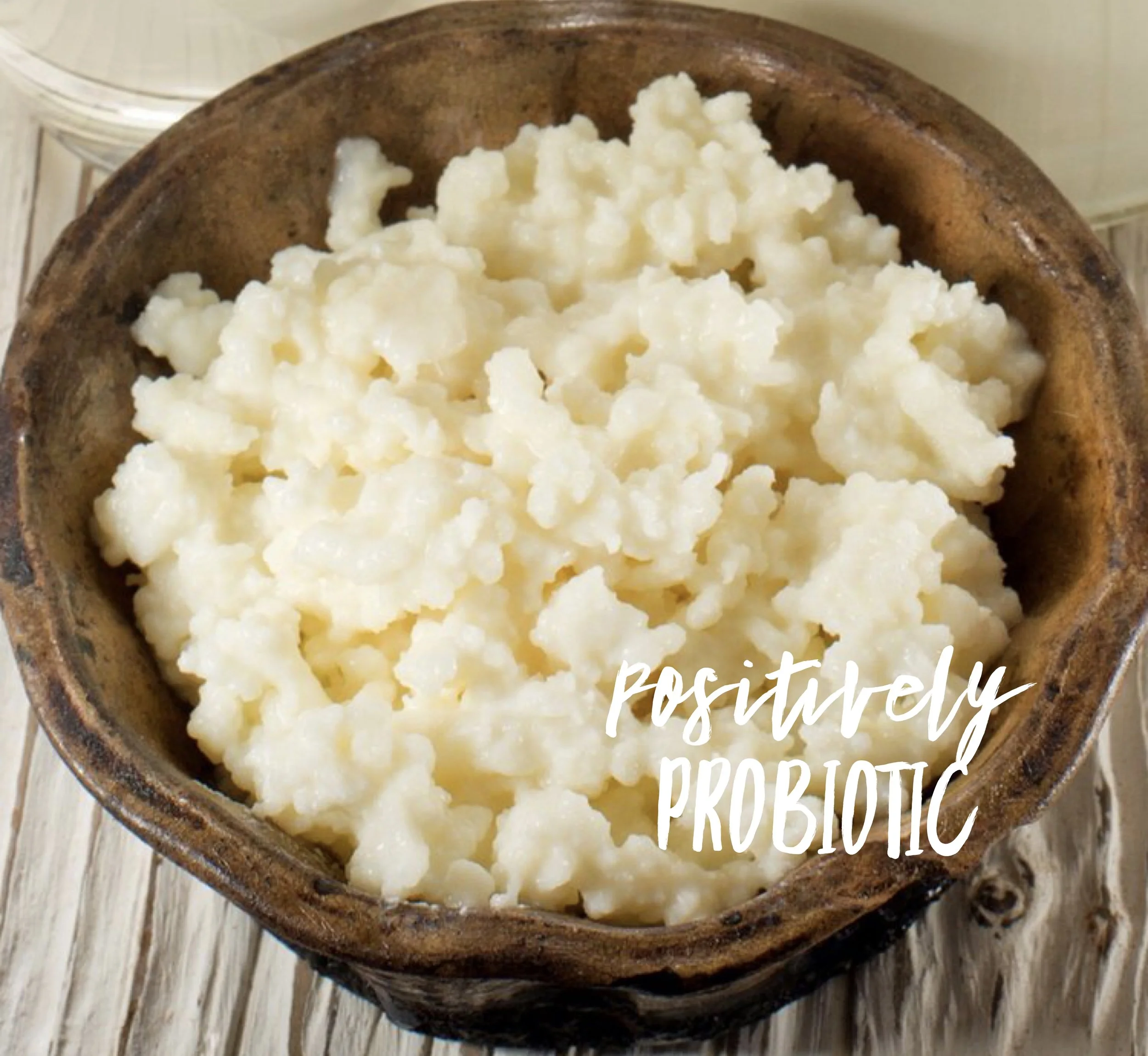 Fresh Milk Kefir Grains — Positively Probiotic