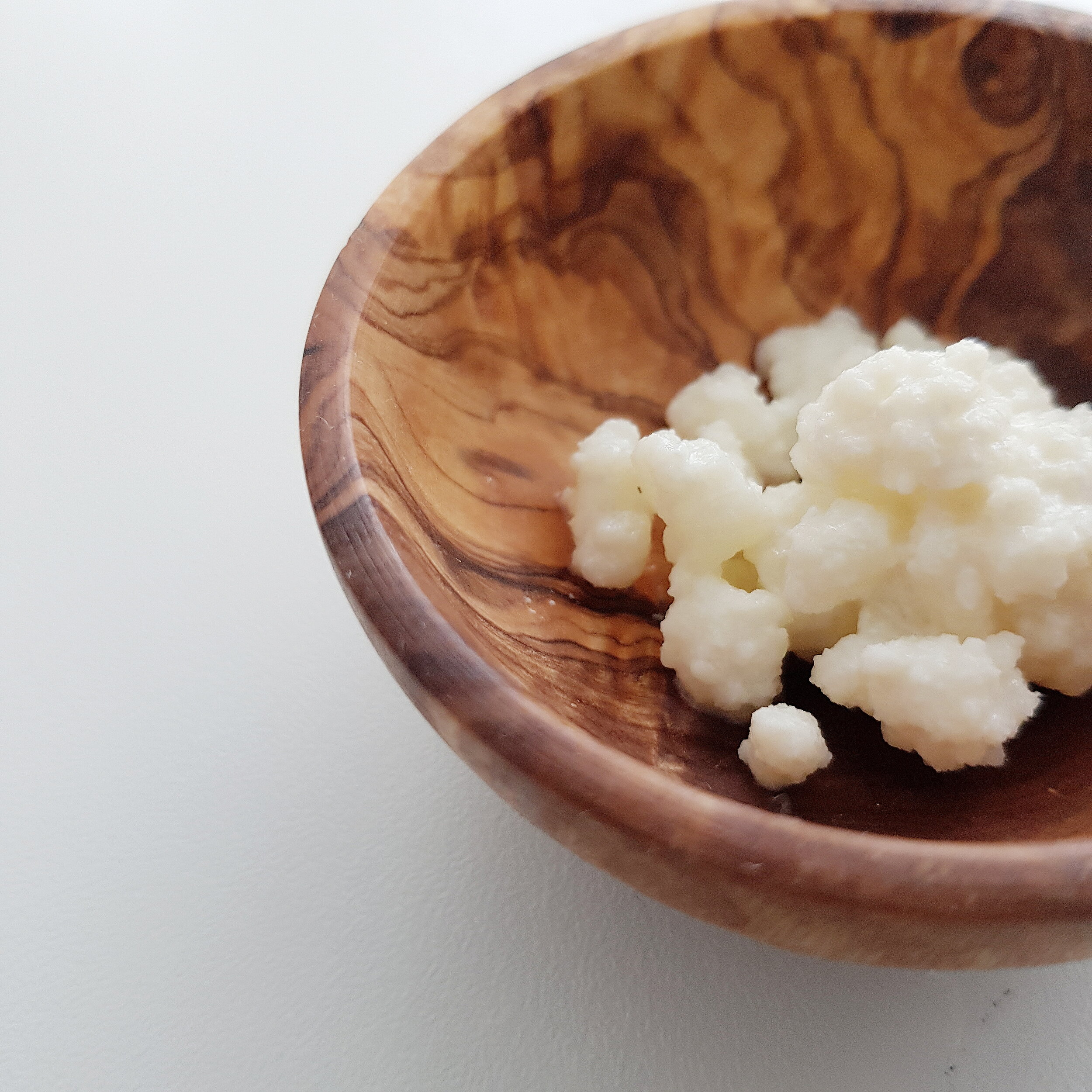 Kefir Grains  Where To Buy Kefir & Kefir Grains - Cultures For Health