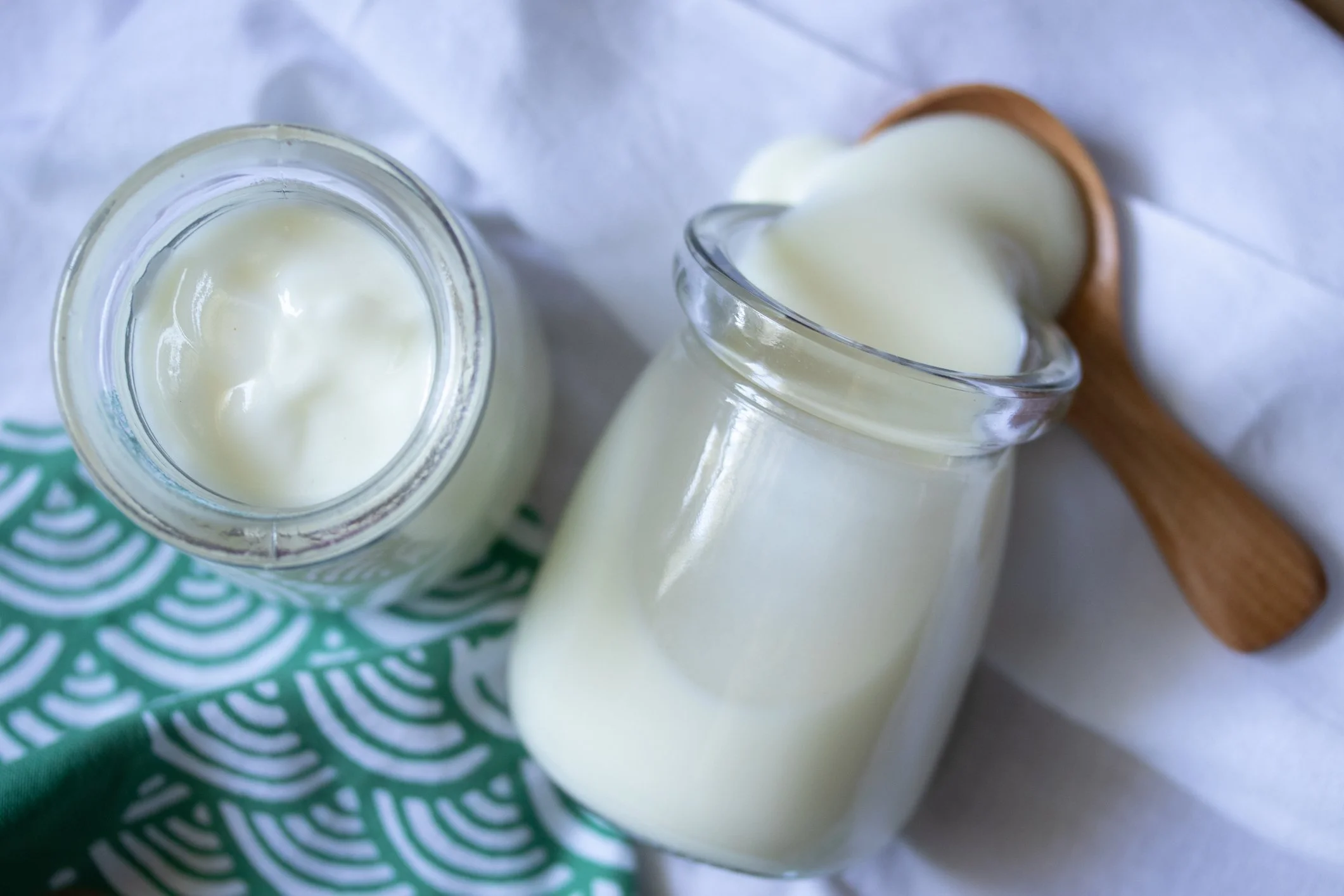 The Wild Side of Yogurt: A Guide to Ropy Cultures (Långfil, Viili, and Friends)