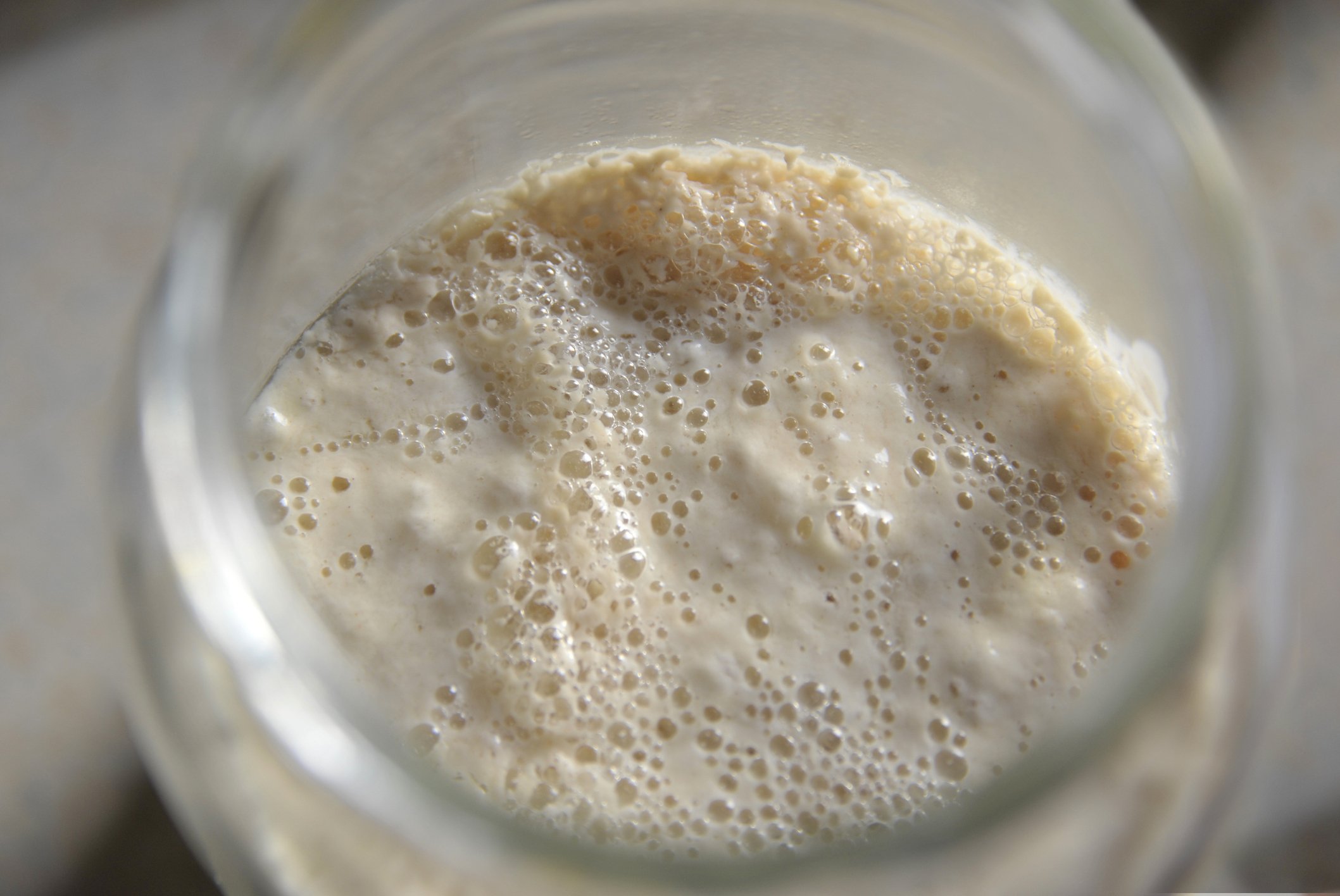 Feeding My Sourdough Starter by Vibes (And Why It Works)