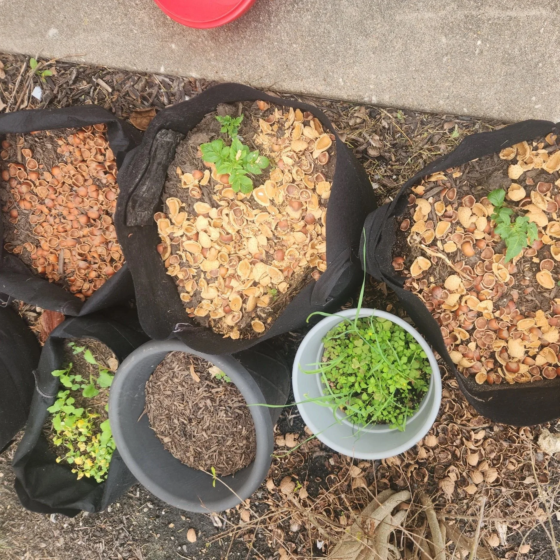 Garden pots with nut shell mulch