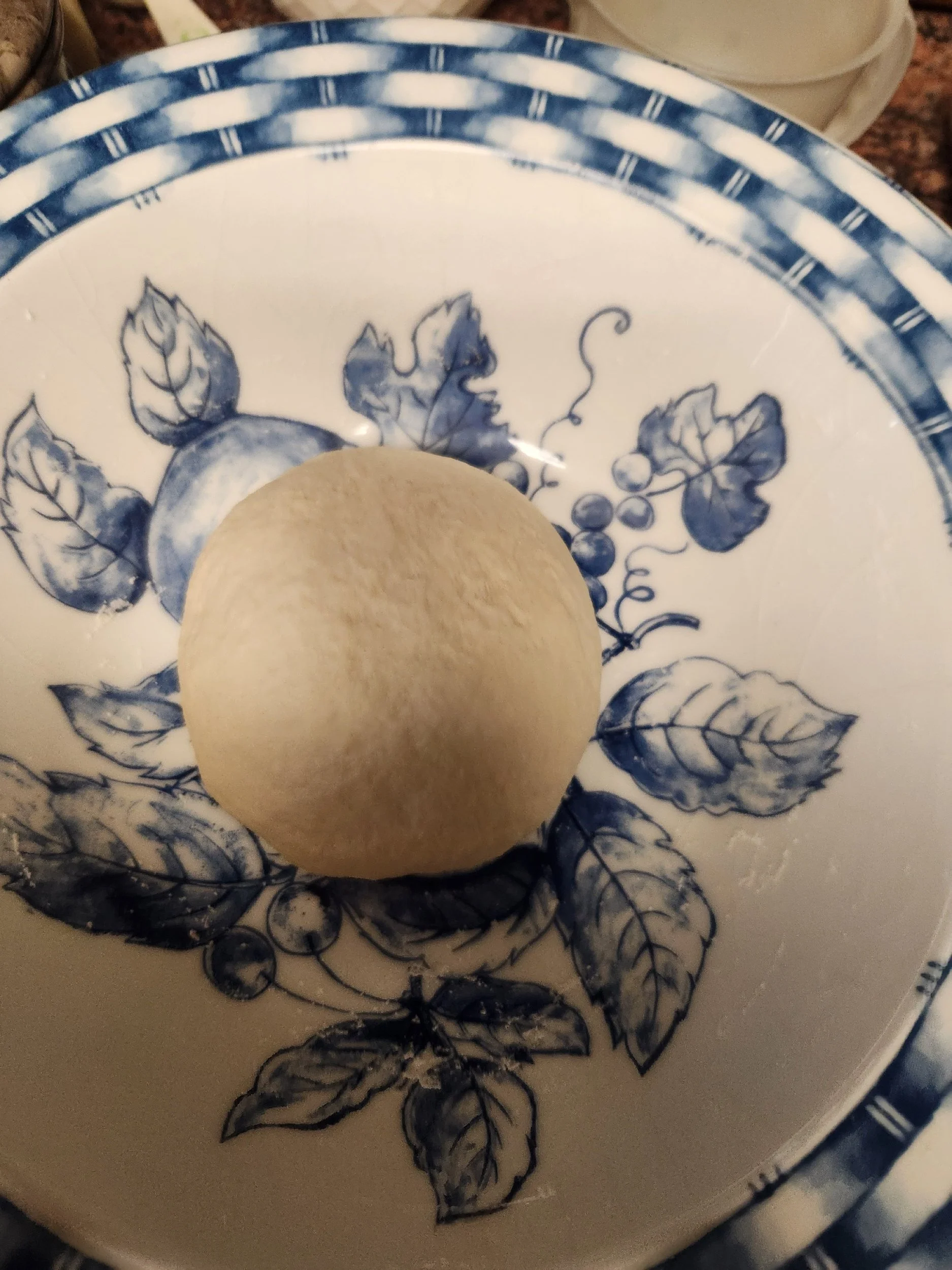 Bowl with dough ball resting