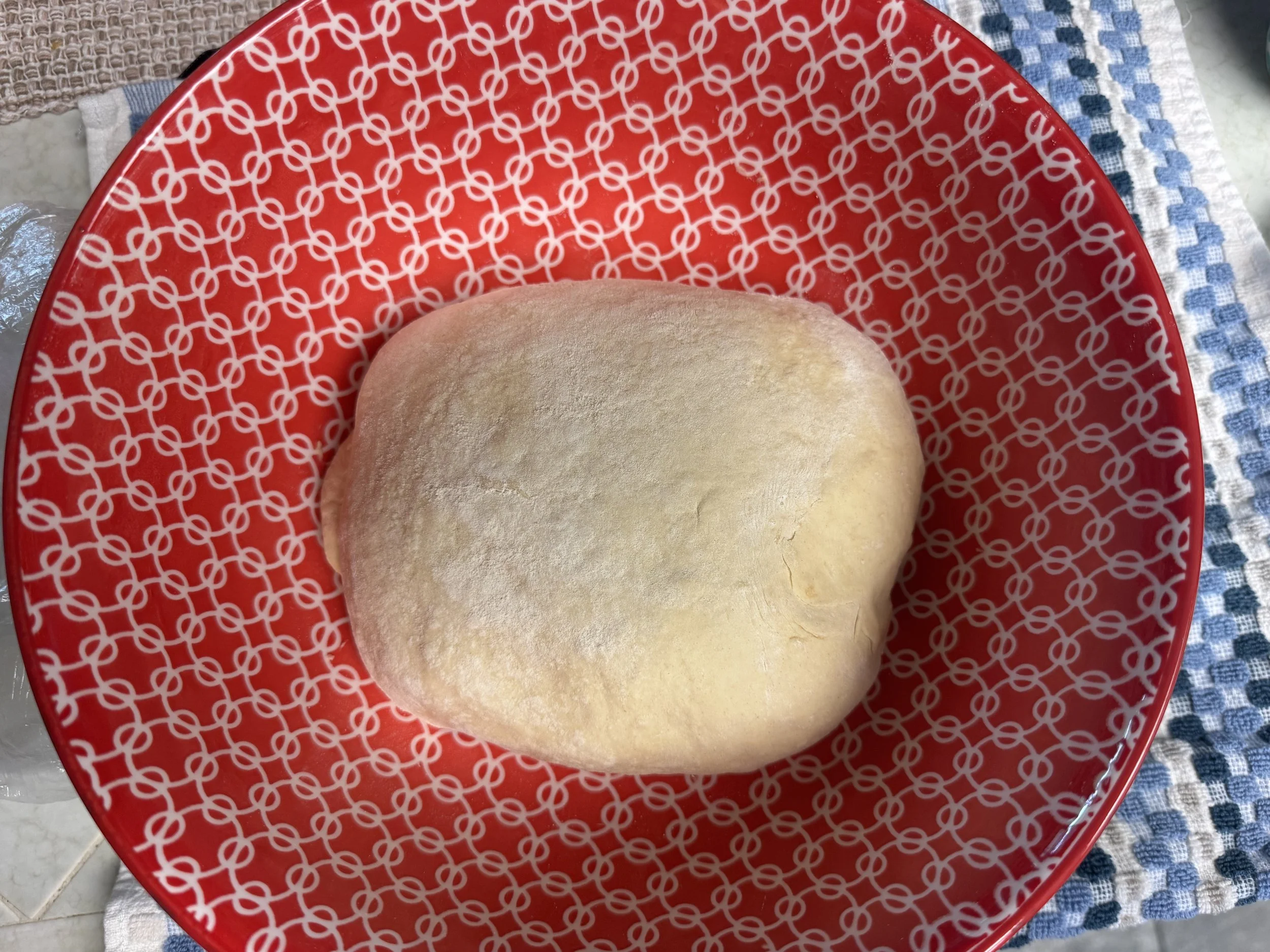 Einkorn sourdough folded in bowl