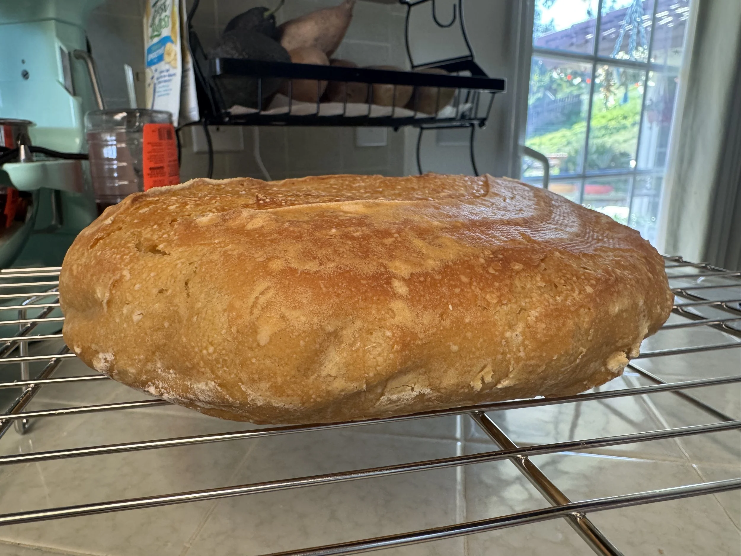 Flat einkorn loaf cooling on wire rack