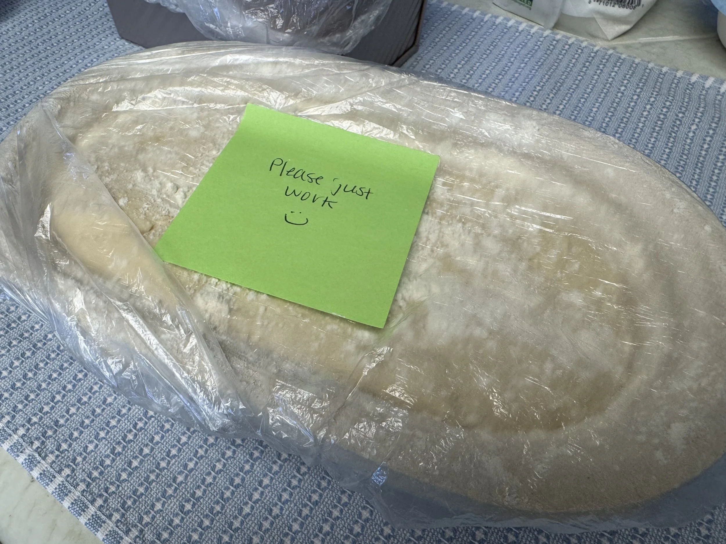 Einkorn sourdough in a banneton covered with plastic wrap with a sticky note that reads please just work