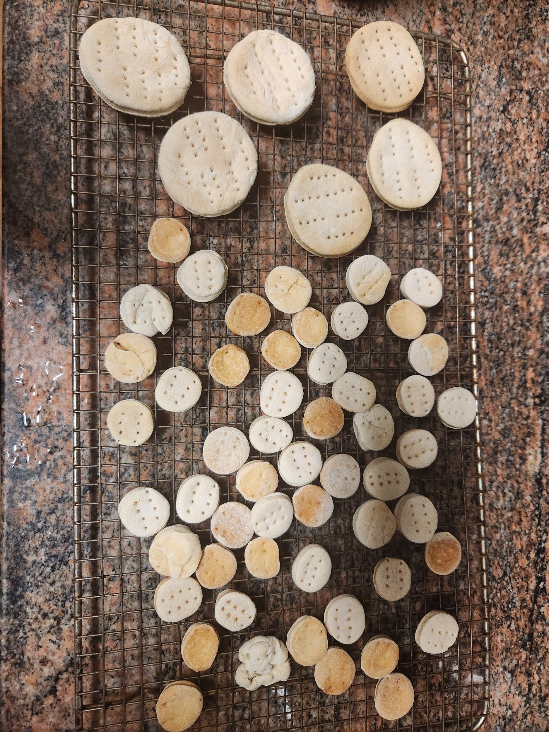 Baked crackers cooling on rack