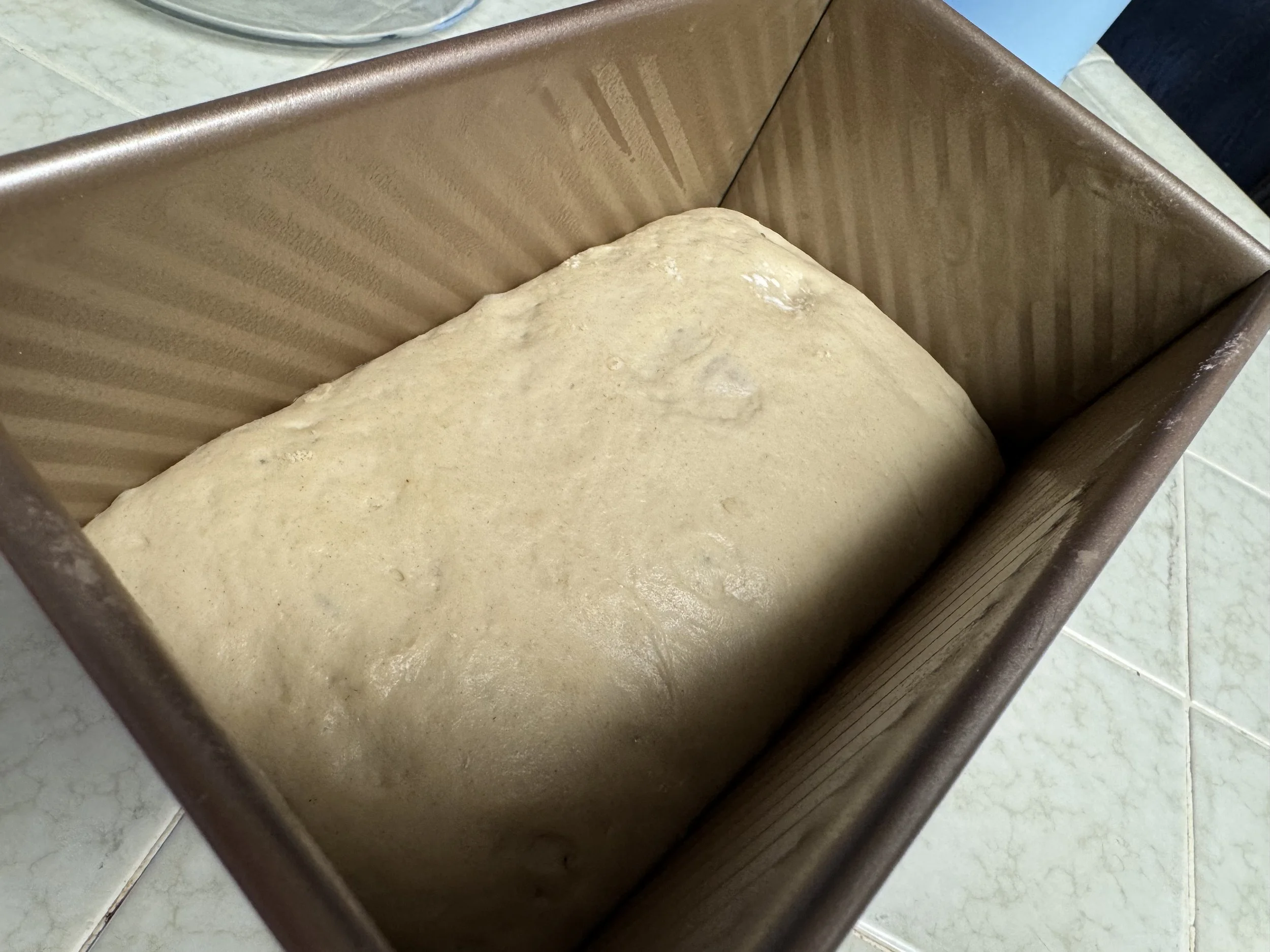 Einkorn sourdough in loaf pan