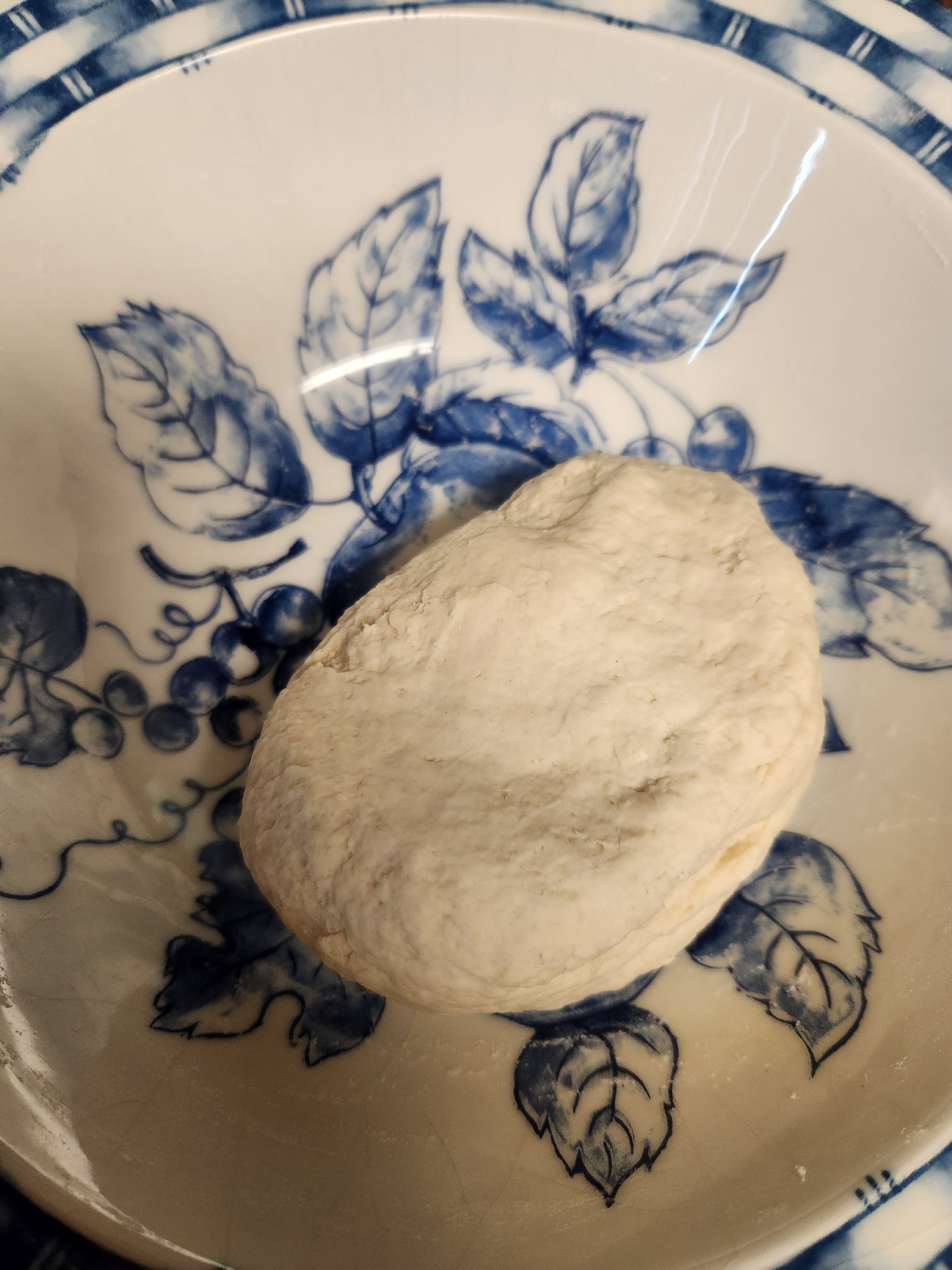 Bowl with dough ball