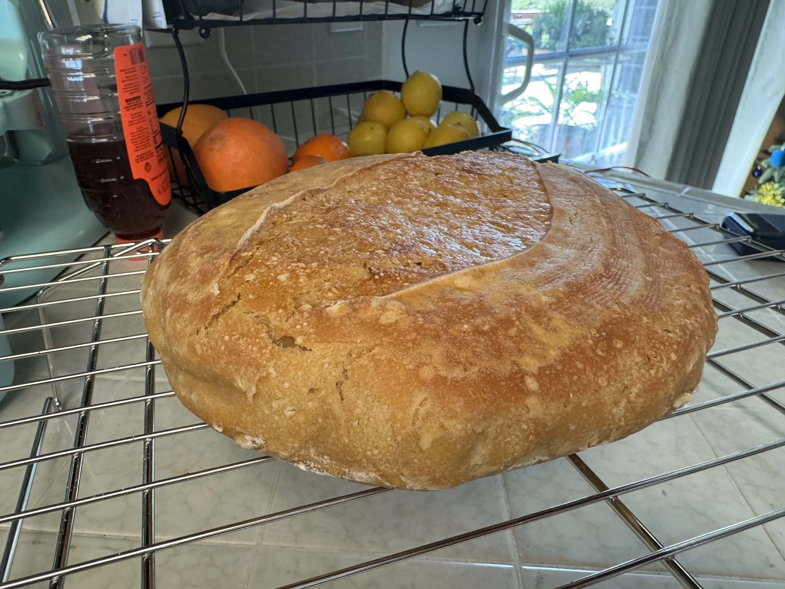 Flat einkorn loaf cooling on rack
