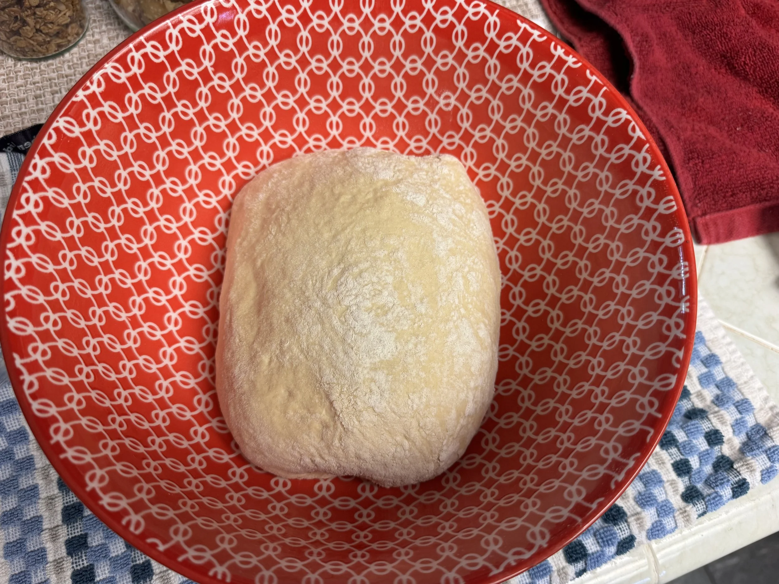 Einkorn sourdough folded in bowl